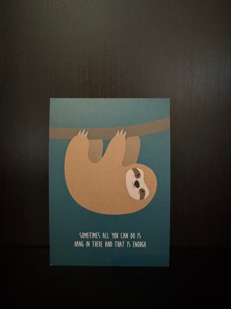 Hang In There Luiaard